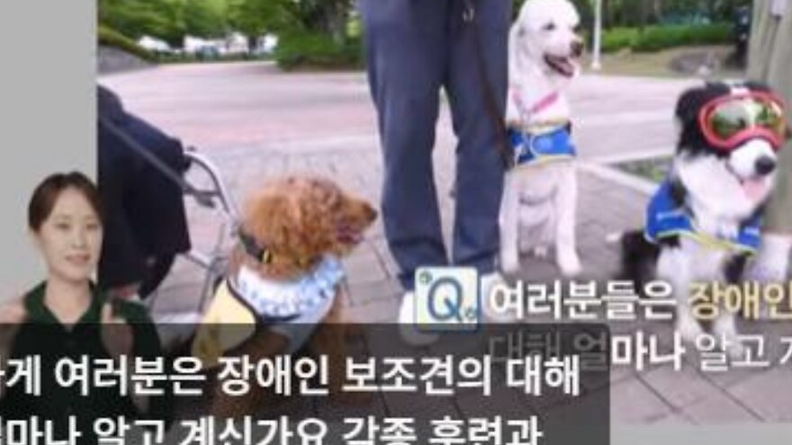 이러닝